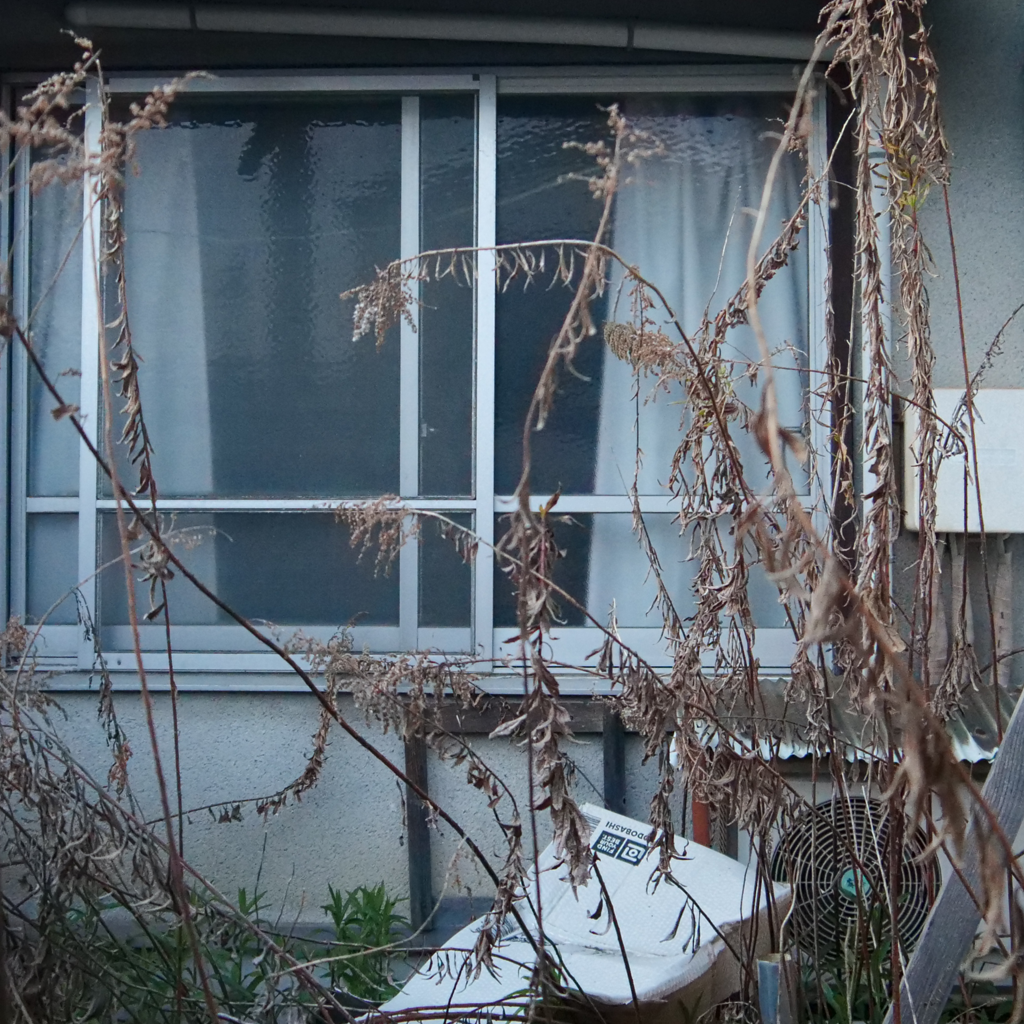 放置された空き家